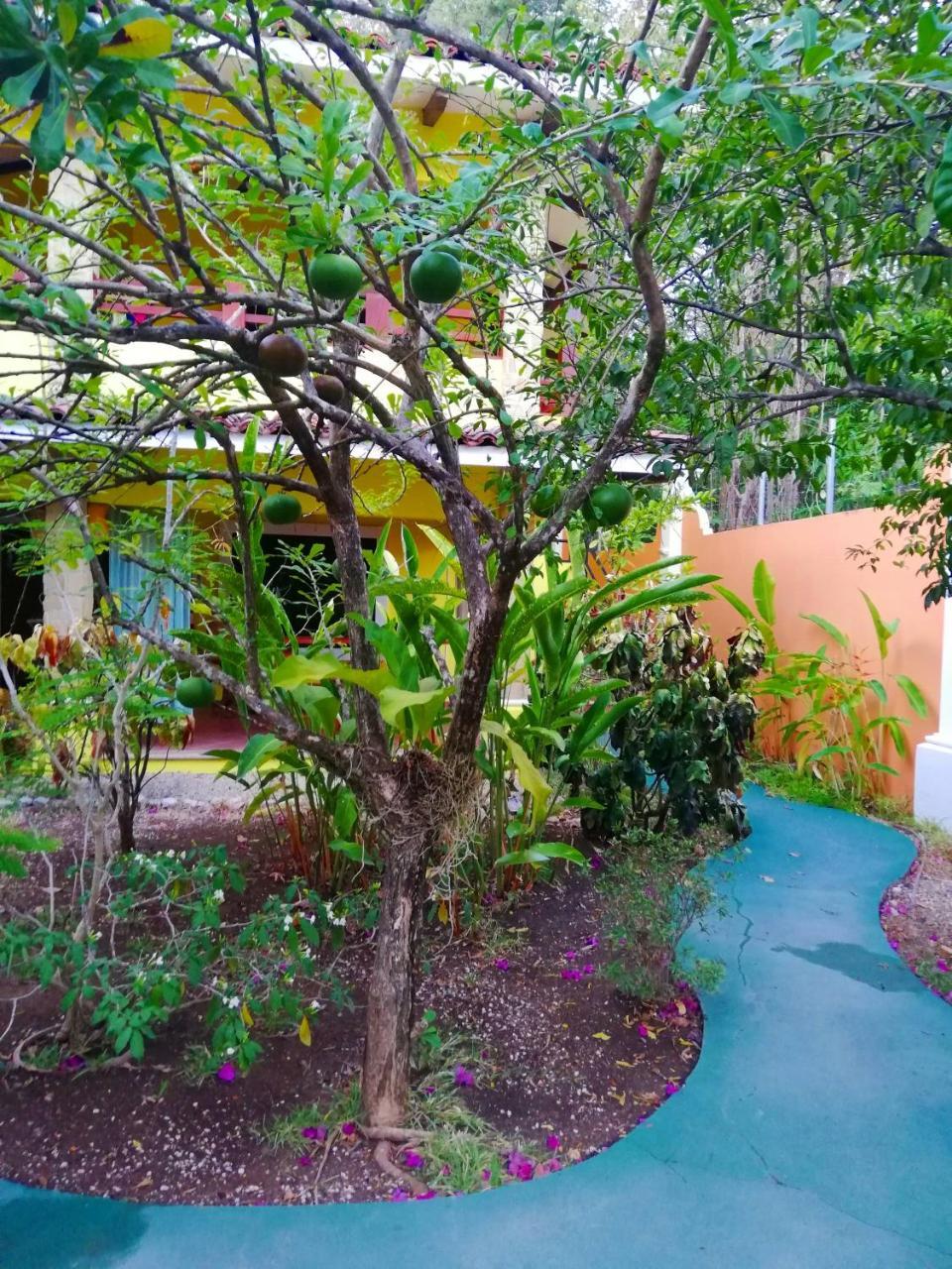 Villas Verdes Samara Luaran gambar