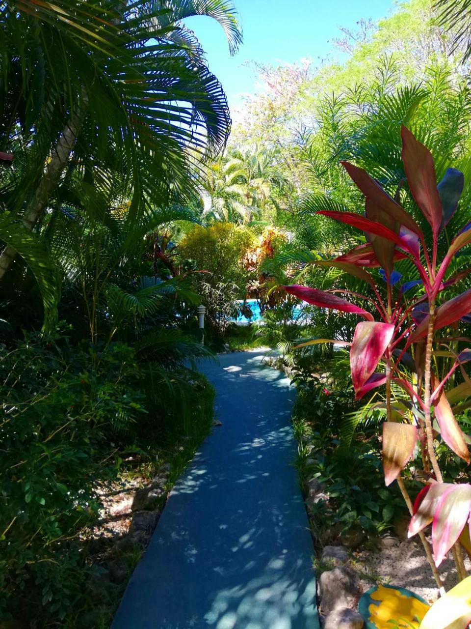 Villas Verdes Samara Luaran gambar