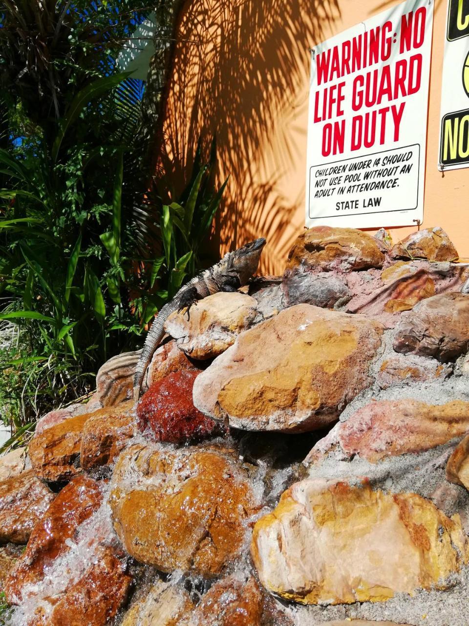 Villas Verdes Samara Luaran gambar