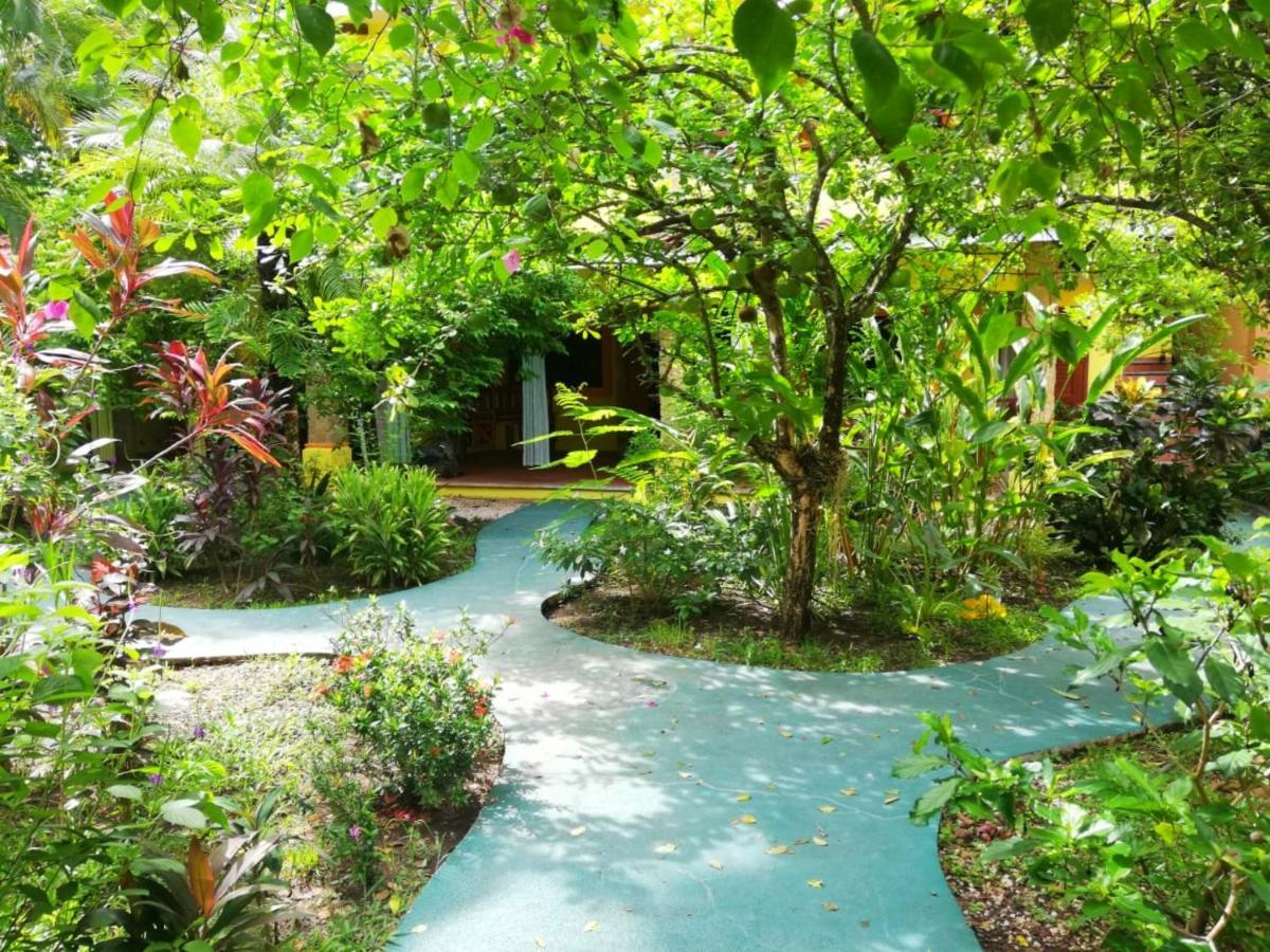 Villas Verdes Samara Luaran gambar